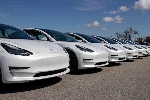 MODEL Y